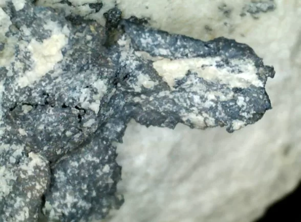 Plata nativa
