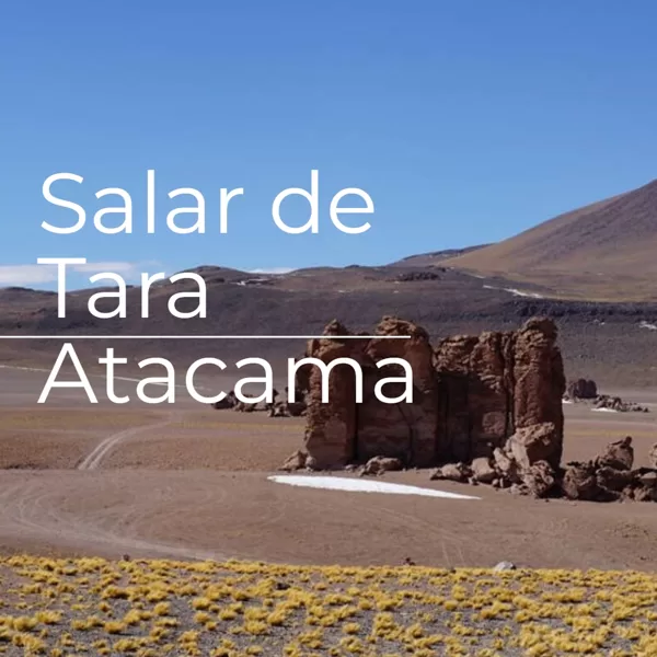 Salar de Tara