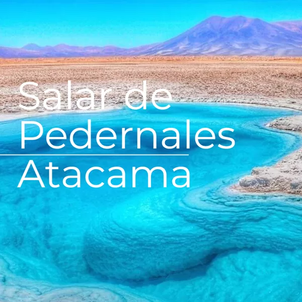 Salar de Pedernales