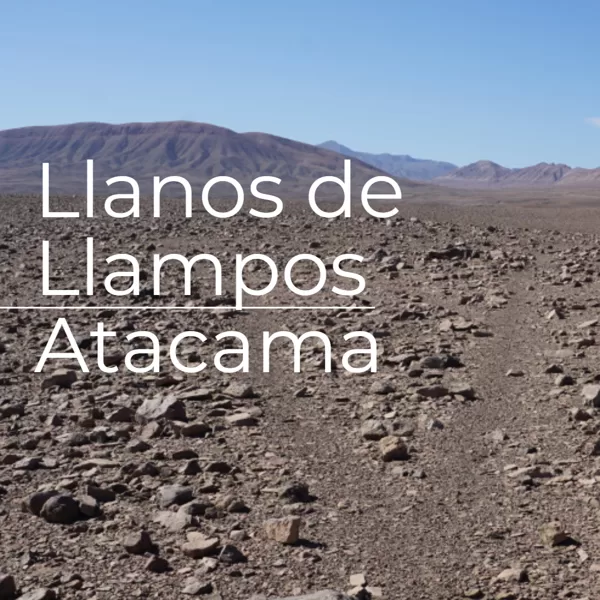 Llanos de Llampos