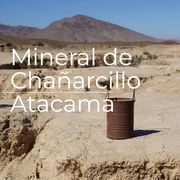 Mineral de Chañarcillo
